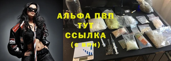 стафф Армянск