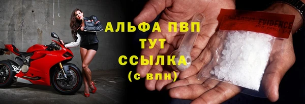 прущие грибы Арсеньев