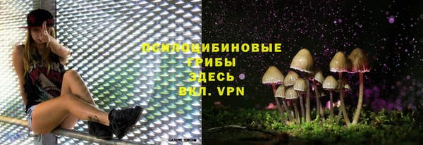 прущие грибы Арсеньев