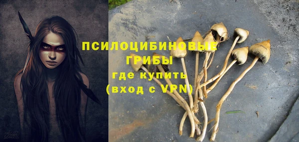прущие грибы Арсеньев