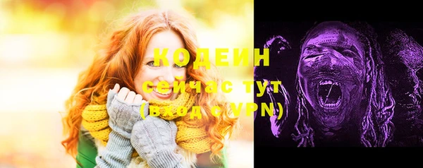 прущие грибы Арсеньев