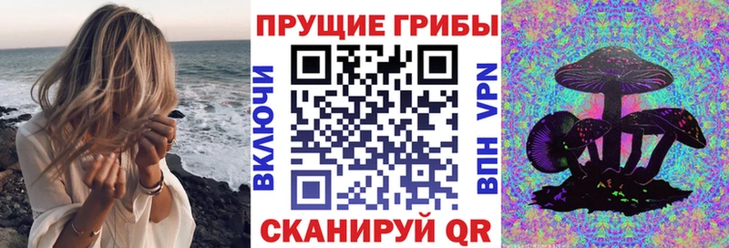 Псилоцибиновые грибы прущие грибы  Приморско-Ахтарск 